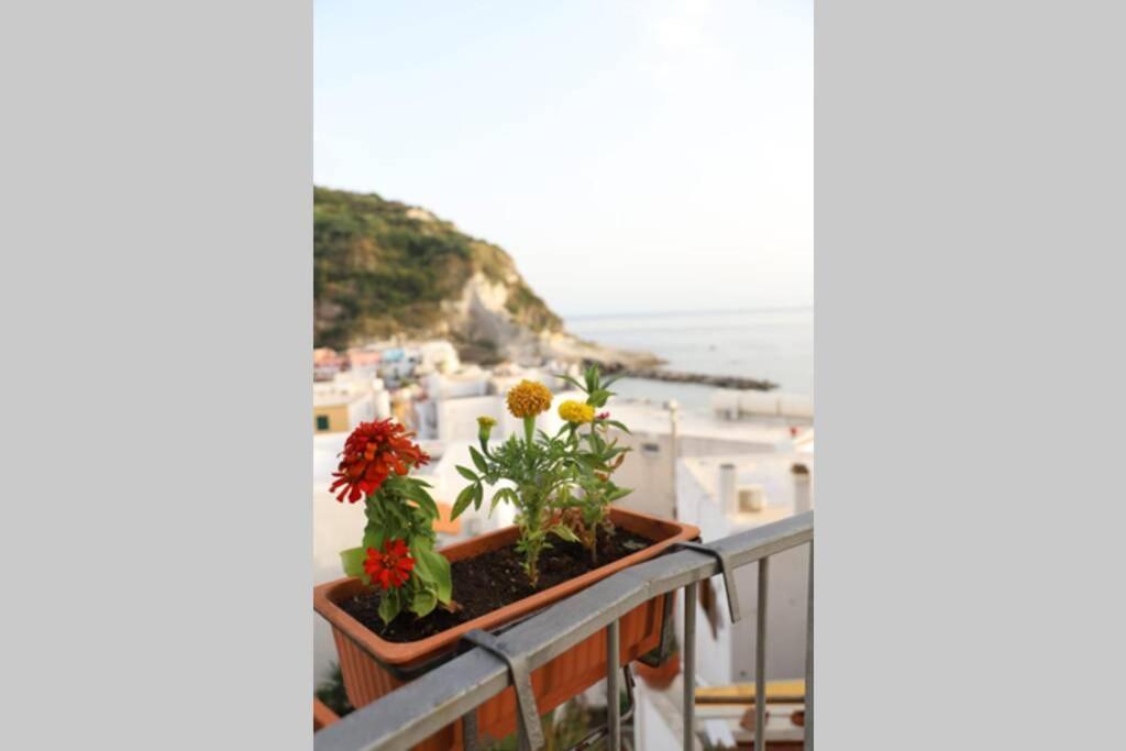 Casa Maadry Apartment Sant'Angelo  Exterior photo